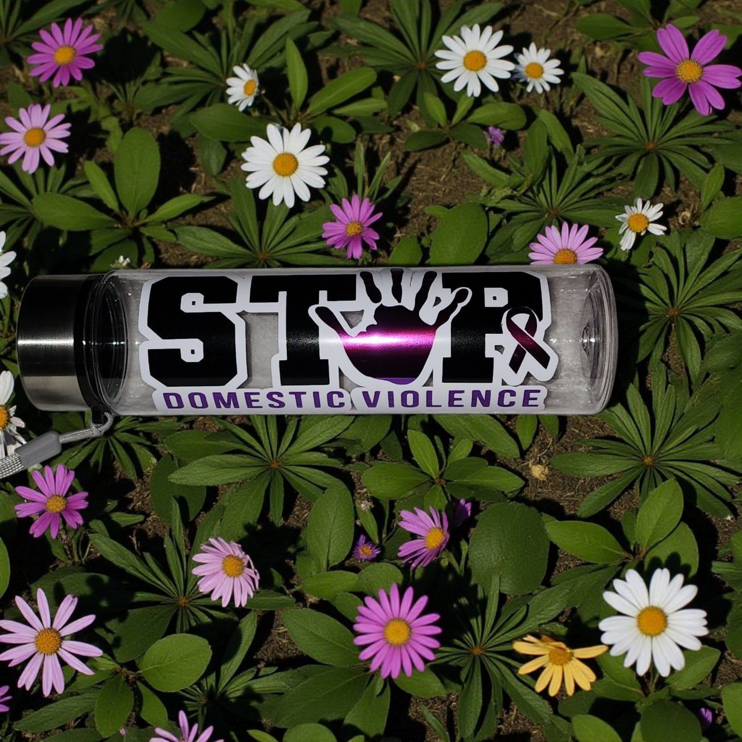 Stop Domestic Violence